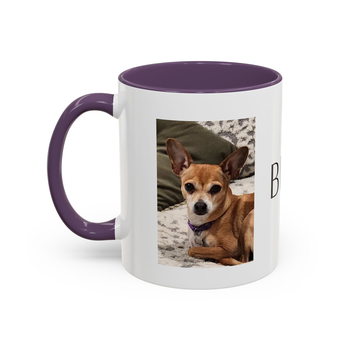 Animal Outreach Create Your Own Personalized Mug (11 oz)