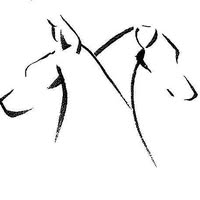 Doberman Rescue Alliance of Wisconsin (DRAWI)