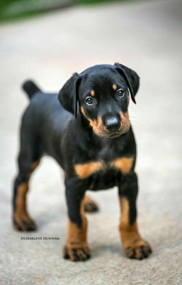 DRAWI Apparel for Kids