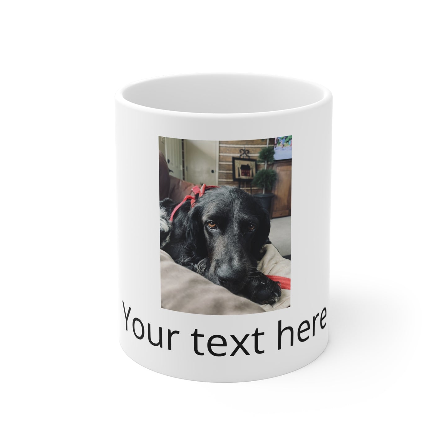 Personalized Photo Mug 11oz — Custom Pet Photo & Text Coffee Cup