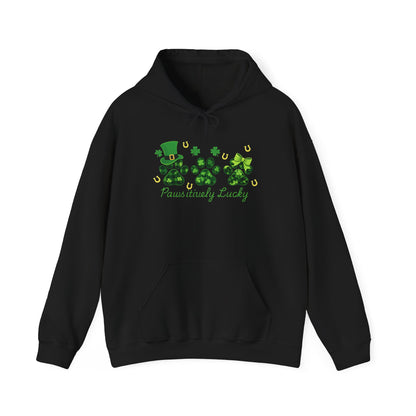 Staff Inventory Delta Animal Shelter Paws-itevely Lucky Hoodie - Delta Logo on Back