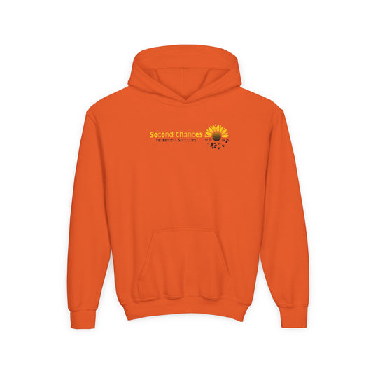 Second Chances Youth Hoodie - New Orange Color!