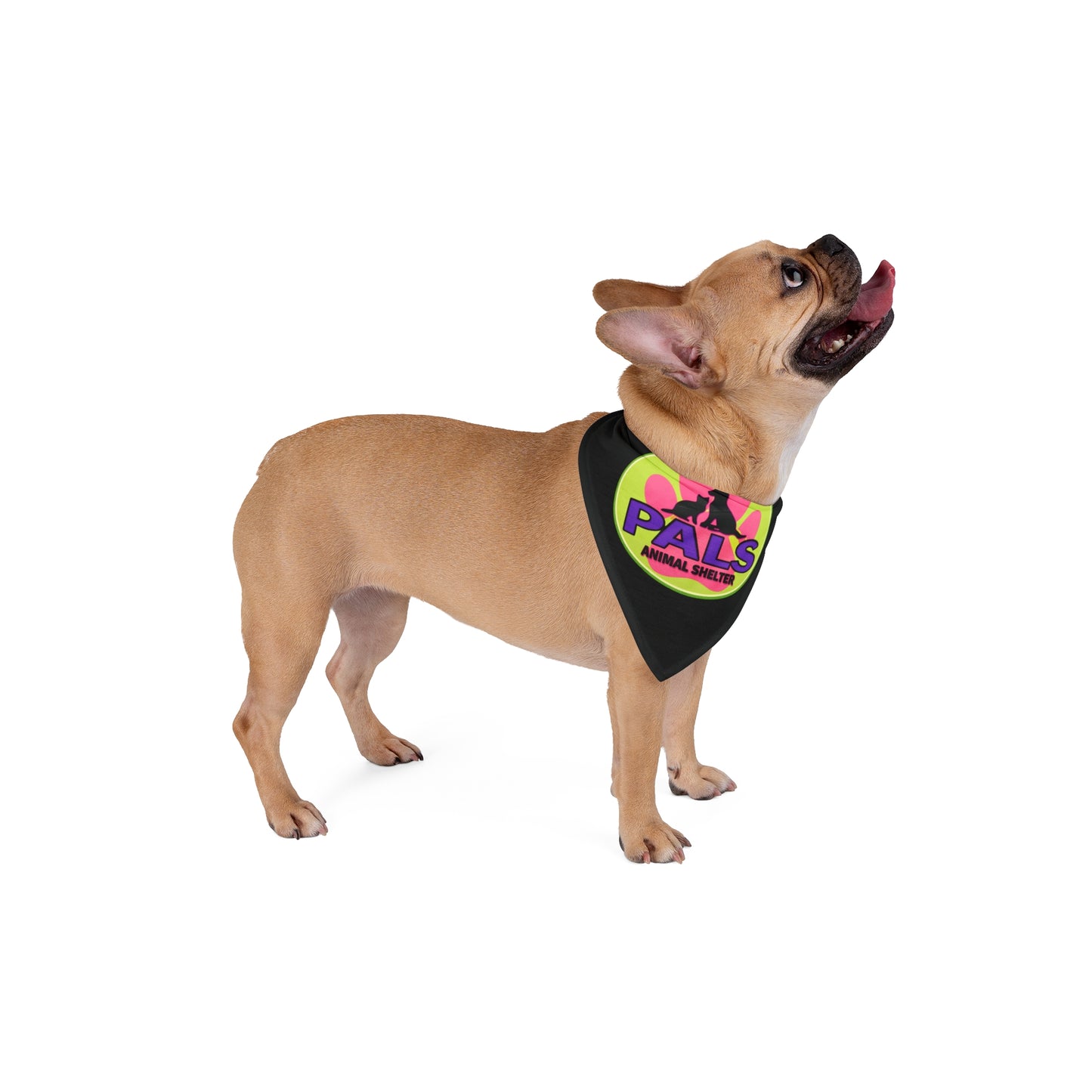 PALS Animal Shelter Pet Bandana – Neon Paw Logo Rescue Accessory
