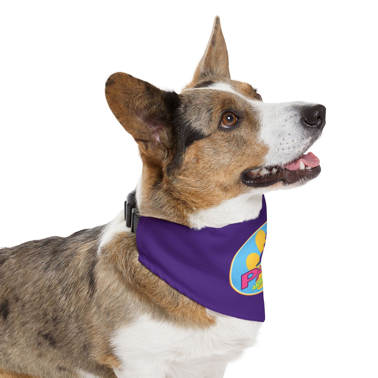 PALS Shelter Clip Pet Bandana Collar — Dog & Cat Neck Scarf