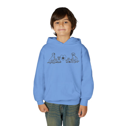 Youth Hoodie — Delta Animal Shelter "Line Art" Collection Logo on Back