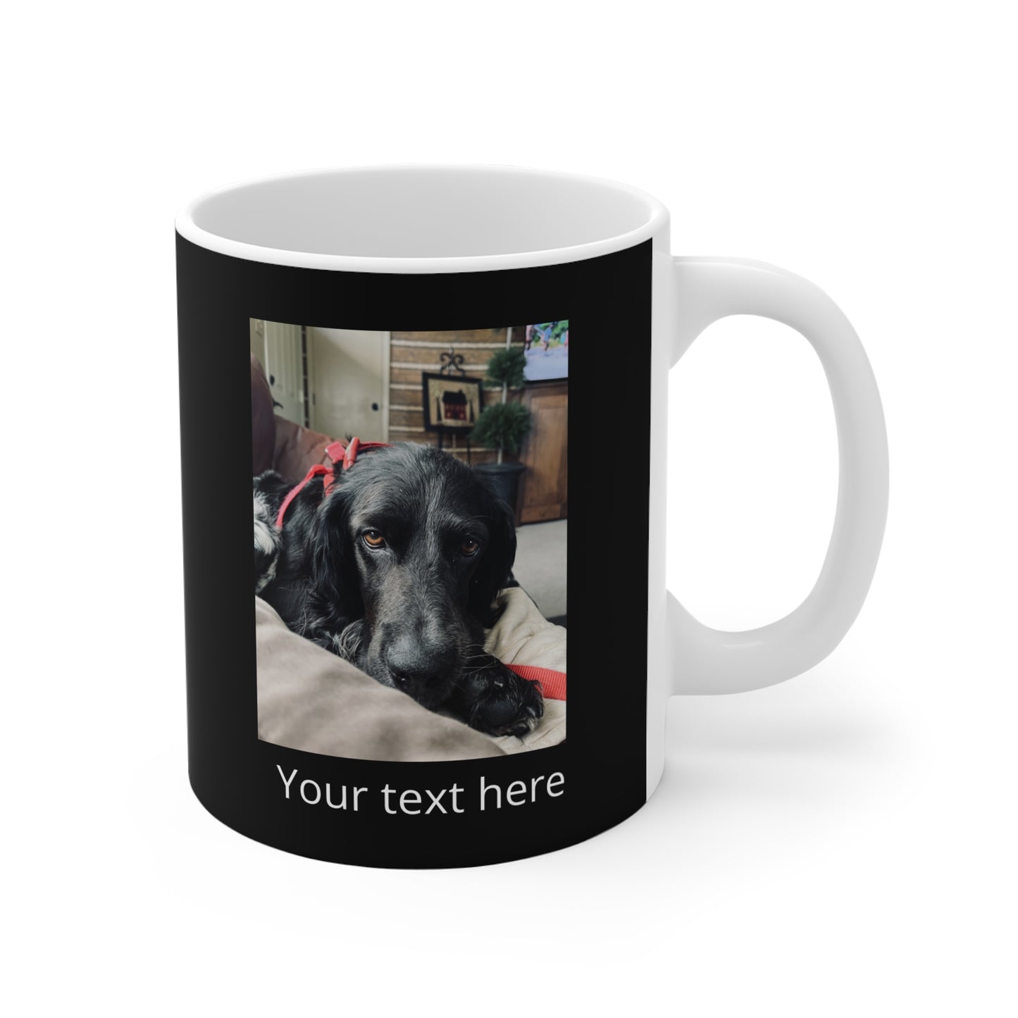 Northwoods Animal Shelter Personalized Photo & Text Mug 11oz