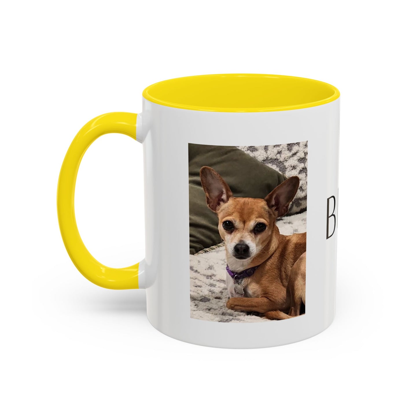 Animal Outreach Create Your Own Personalized Mug (11 oz)