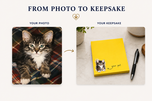 Animal Outreach Personalized Post-it Notes
