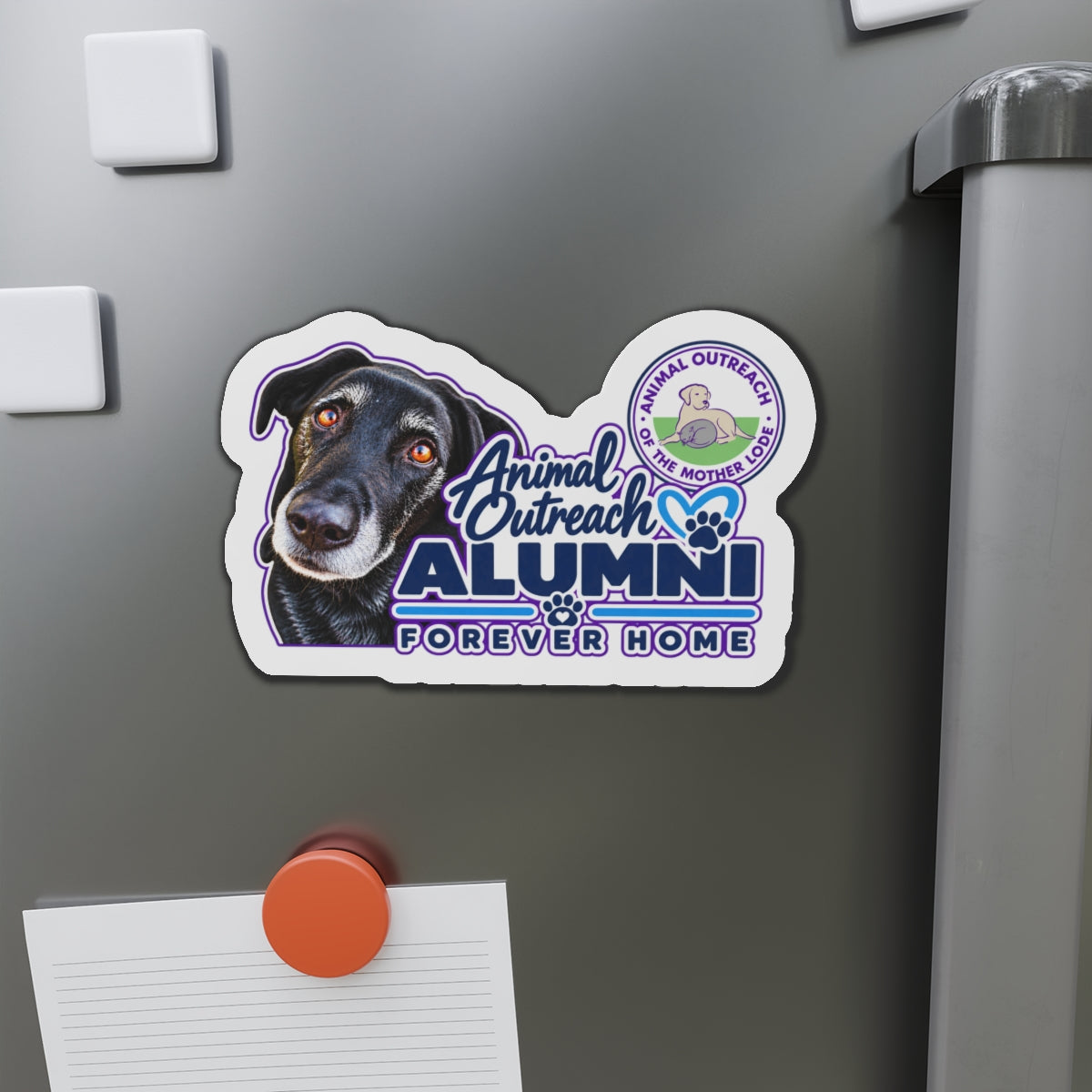 Animal Outreach Magnet - Animal Alumni
