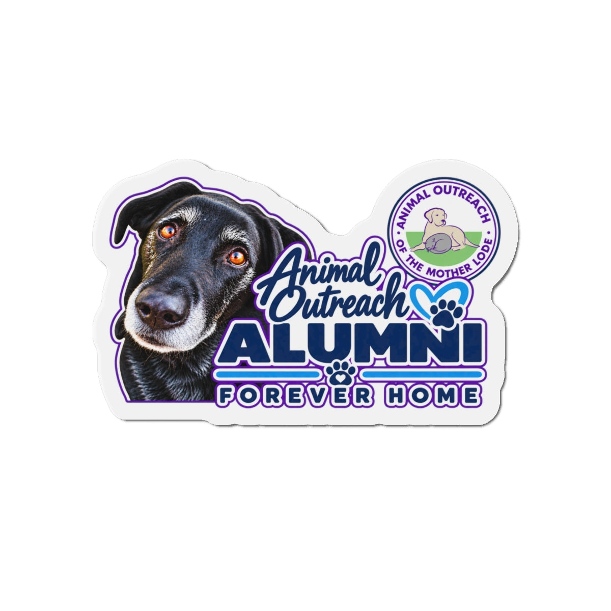 Animal Outreach Magnet - Animal Alumni